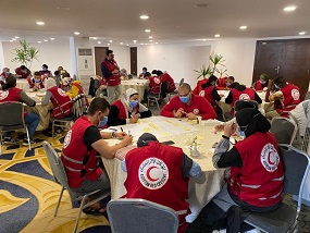 Final workshop of the Humanitarian Services for Migrants Project in Egypt (AMIRA Project)